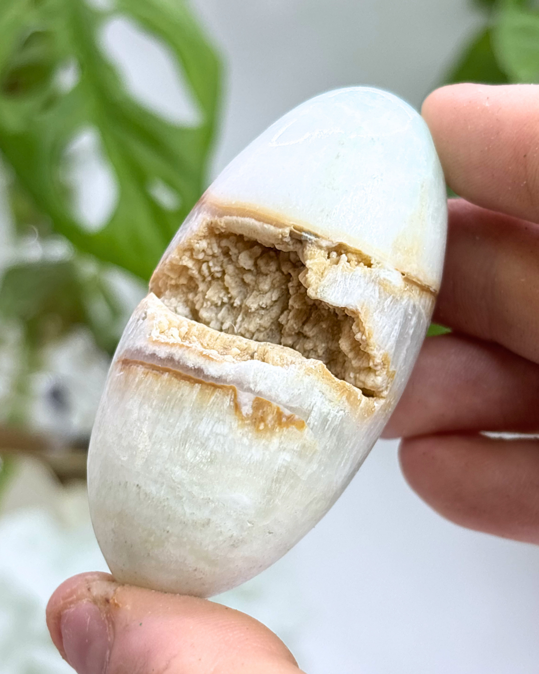 Caribbean Blue Calcite Palm Stone