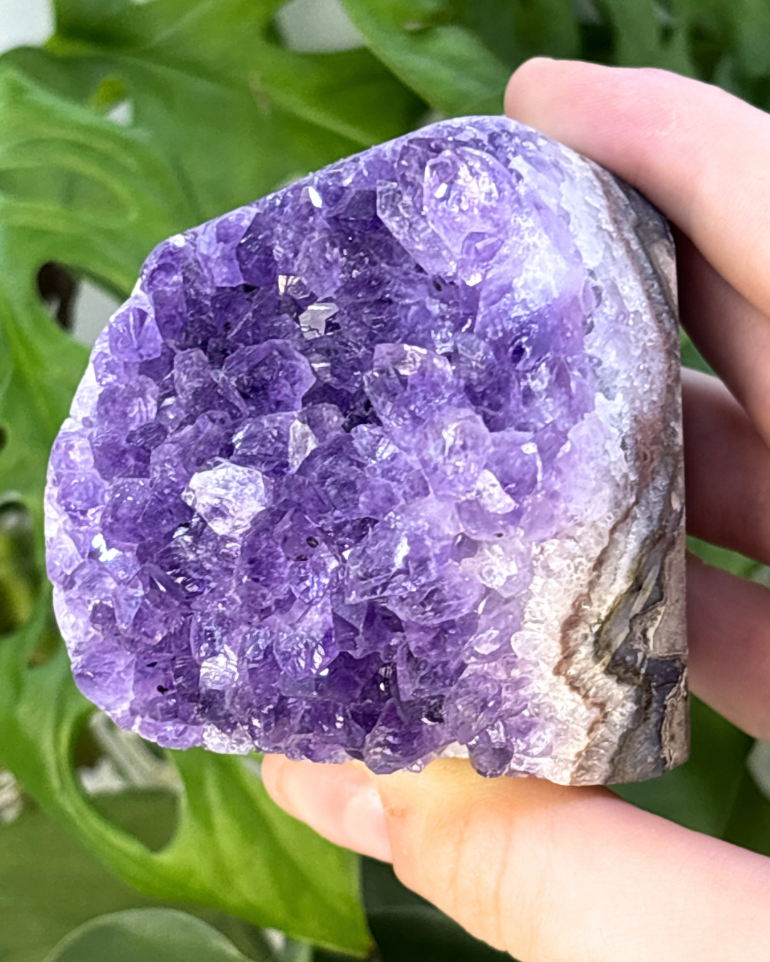 Amethyst Cluster Freeform