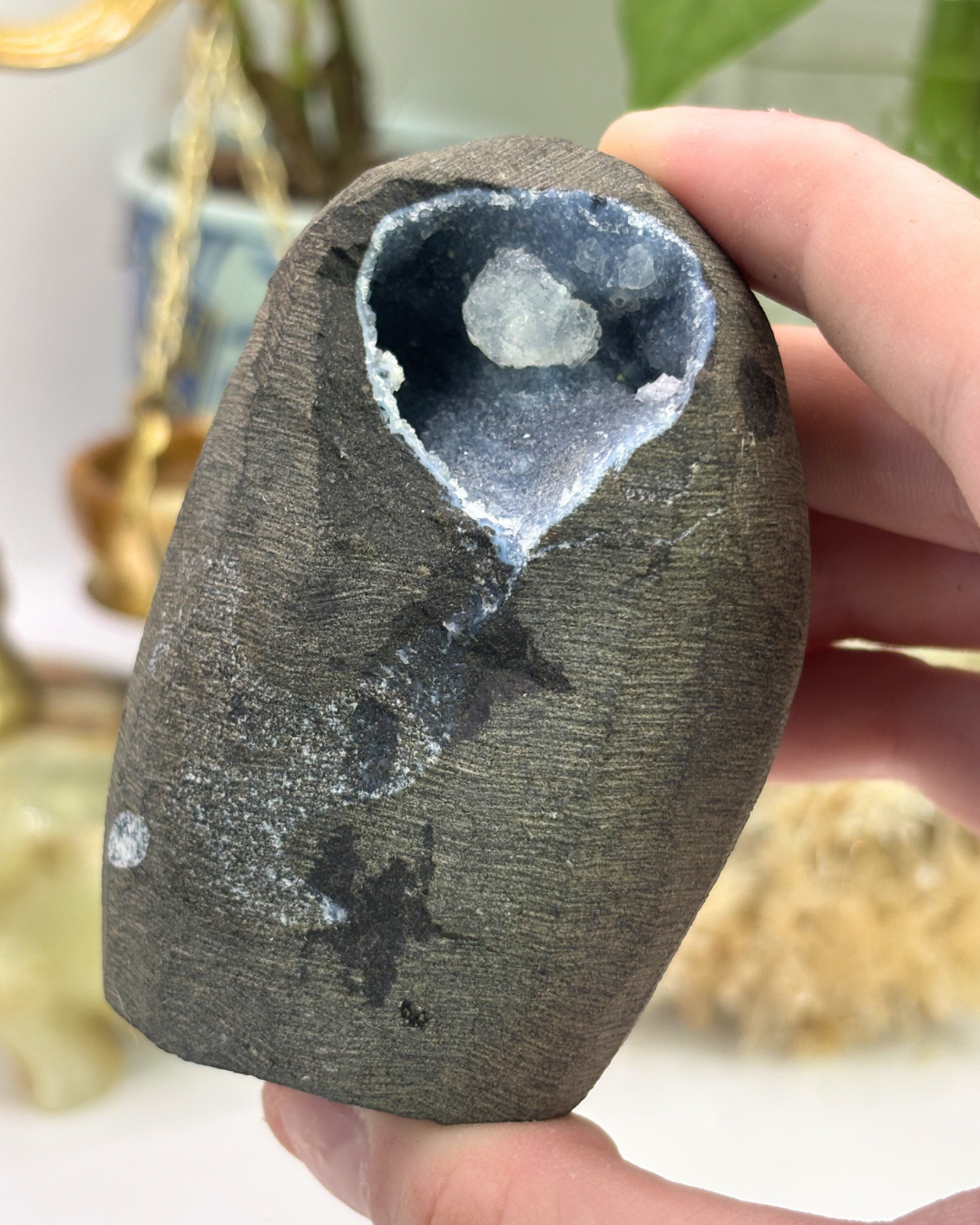 Black Chalcedony in Basalt Geode Specimen