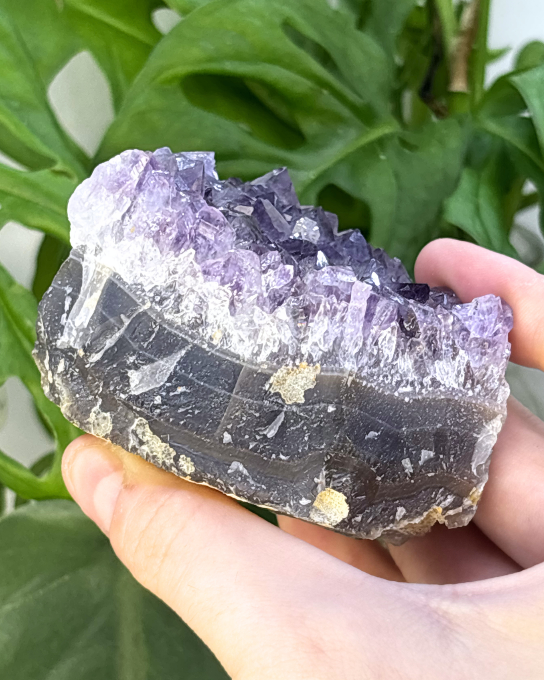Amethyst Cluster Freeform 3