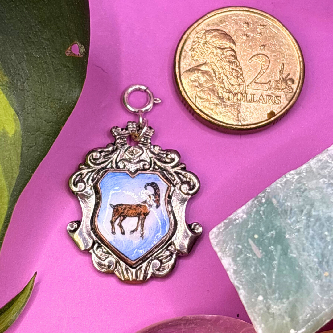 Aries Zodiac Silver Spoon Charm COMING 16/11