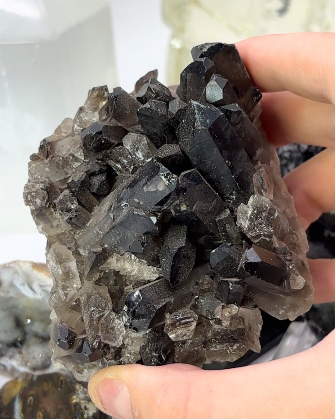 Large Smokey Quartz Cluster