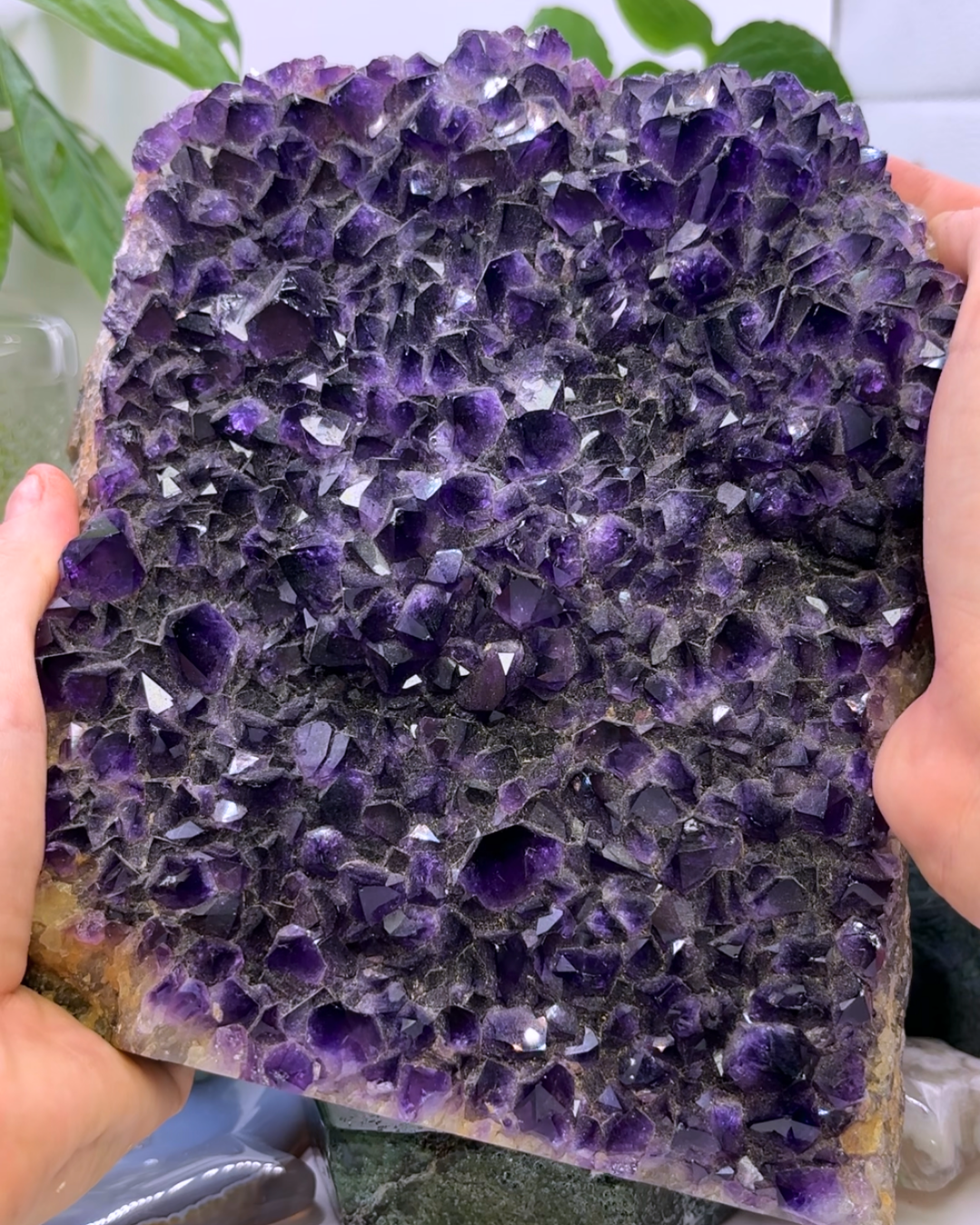 XL Amethyst Cluster