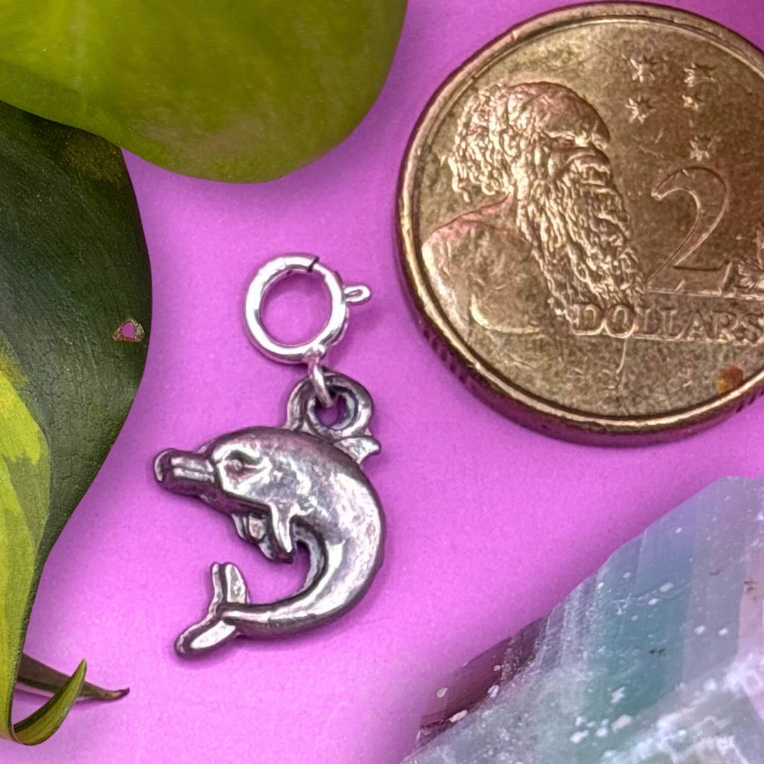 Mini Silver Dolphin 2D Charm
