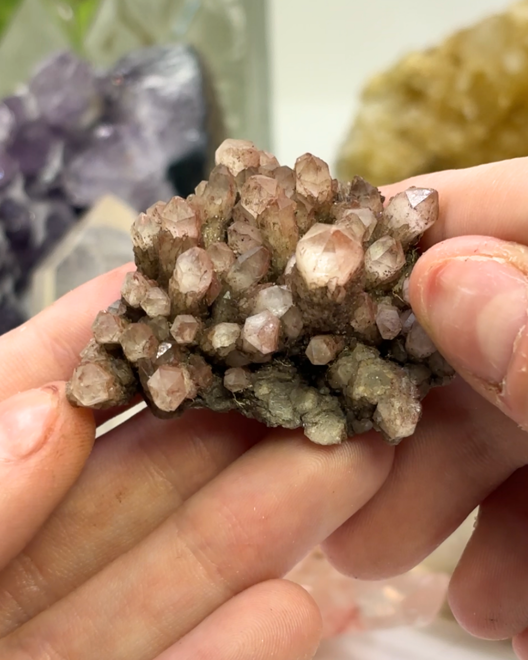 Phantom Quartz Cluster Specimen