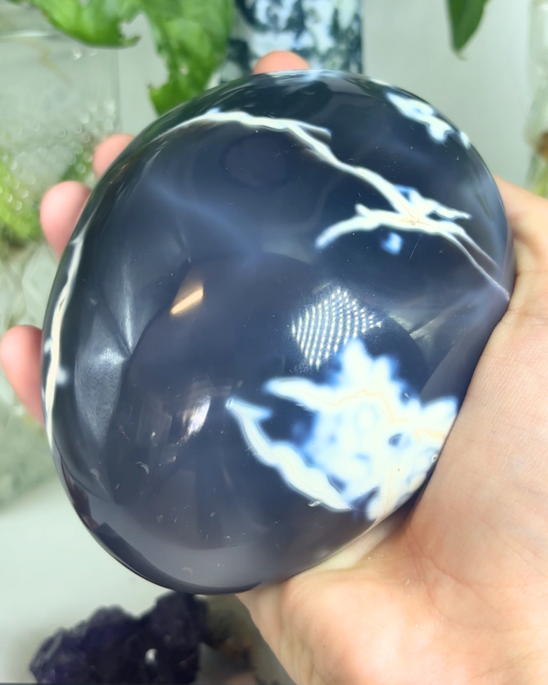 XL Orca Agate Palmstone / Freeform