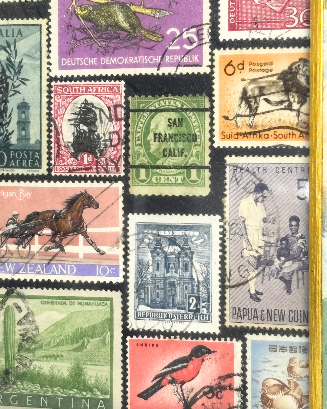 In the Wild Vintage Stamp Frame