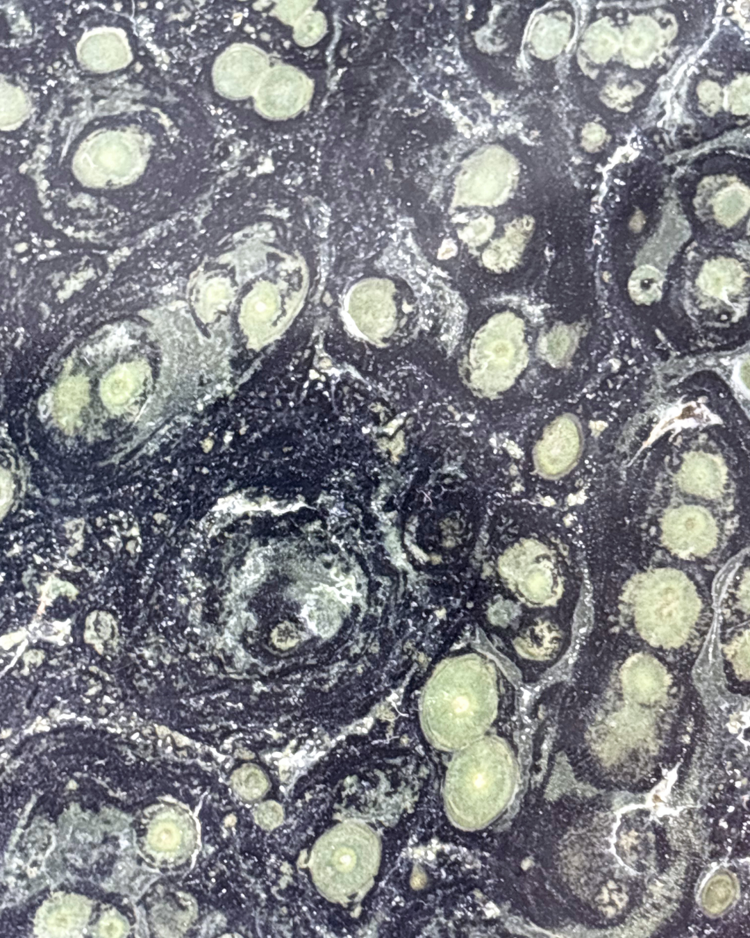 Large Kambaba Jasper Slice