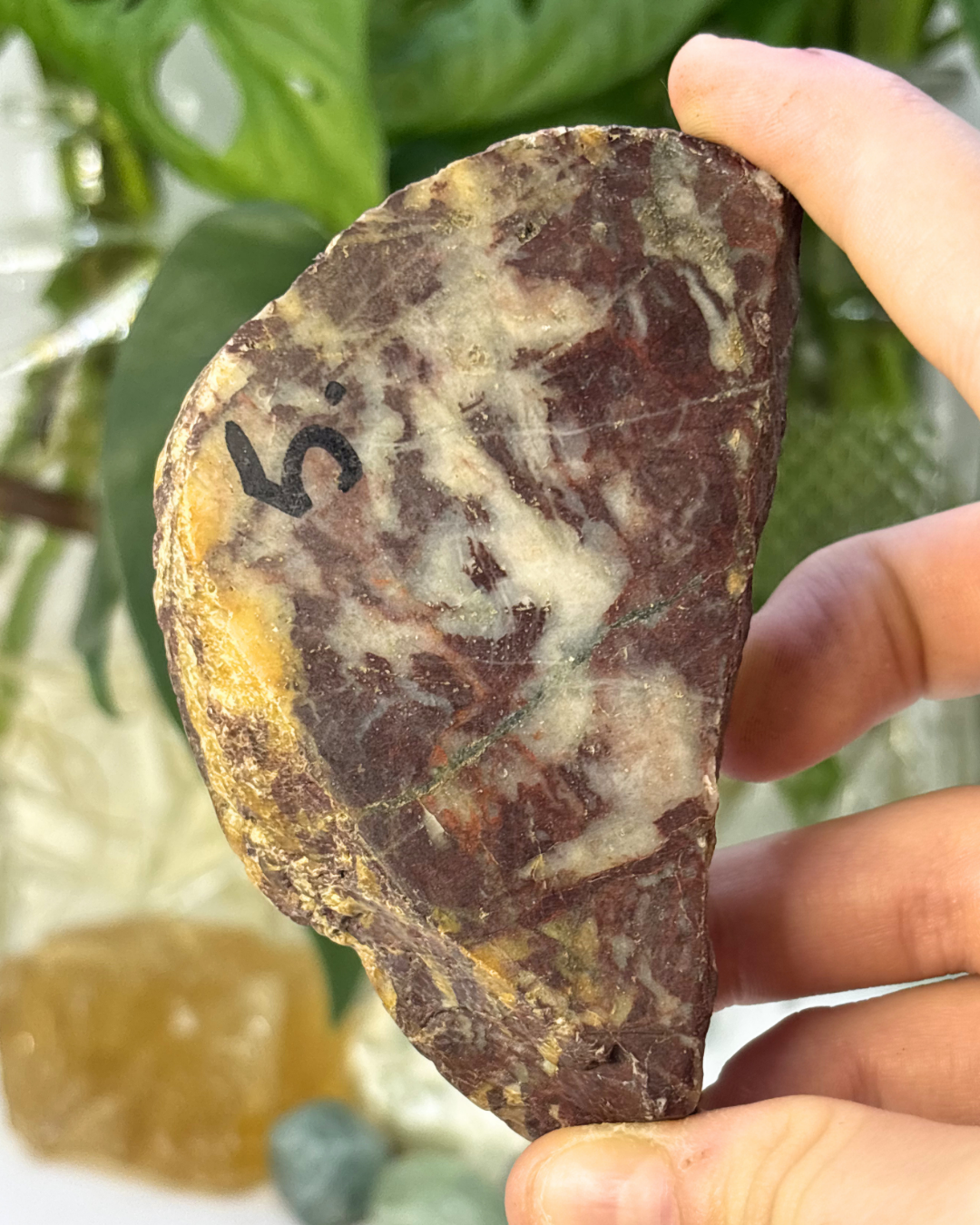 Polished Brecciated Jasper Slice