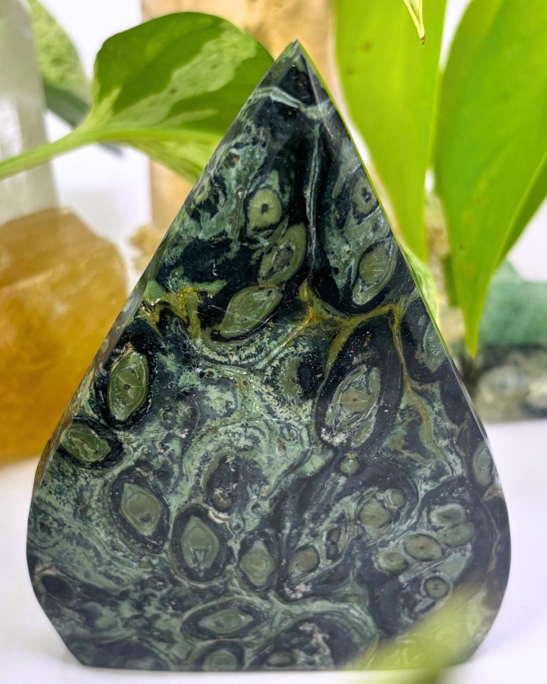 Kambaba Jasper Freeform