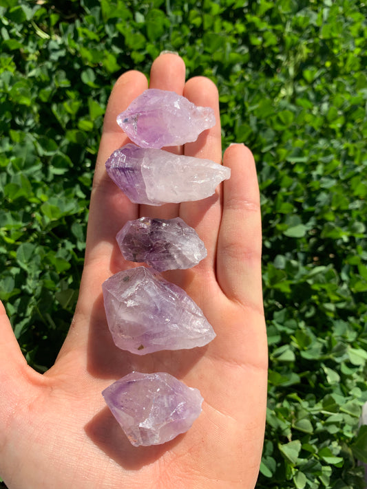 Amethyst Small Natural Points