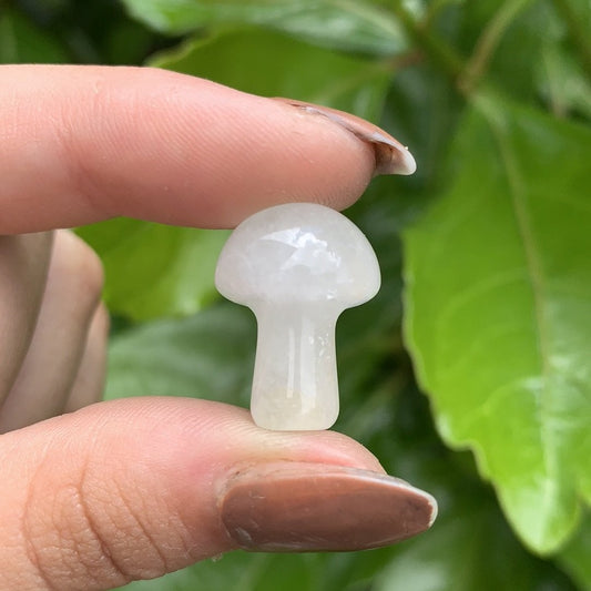 Clear Quartz Mini Mushroom