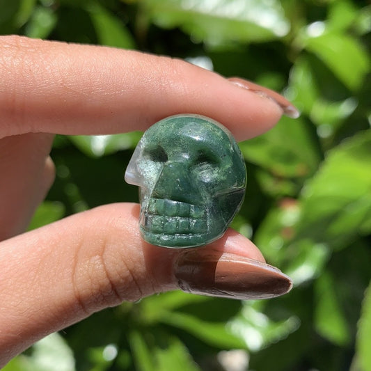 Tree Agate Skull