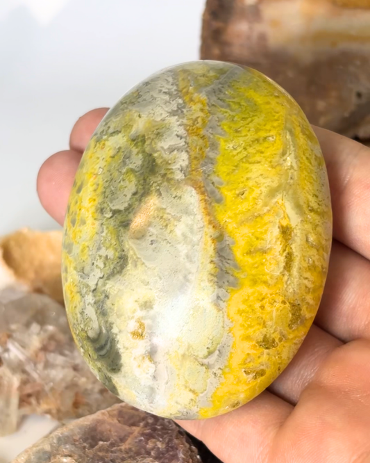 Bumblebee Jasper Palmstone
