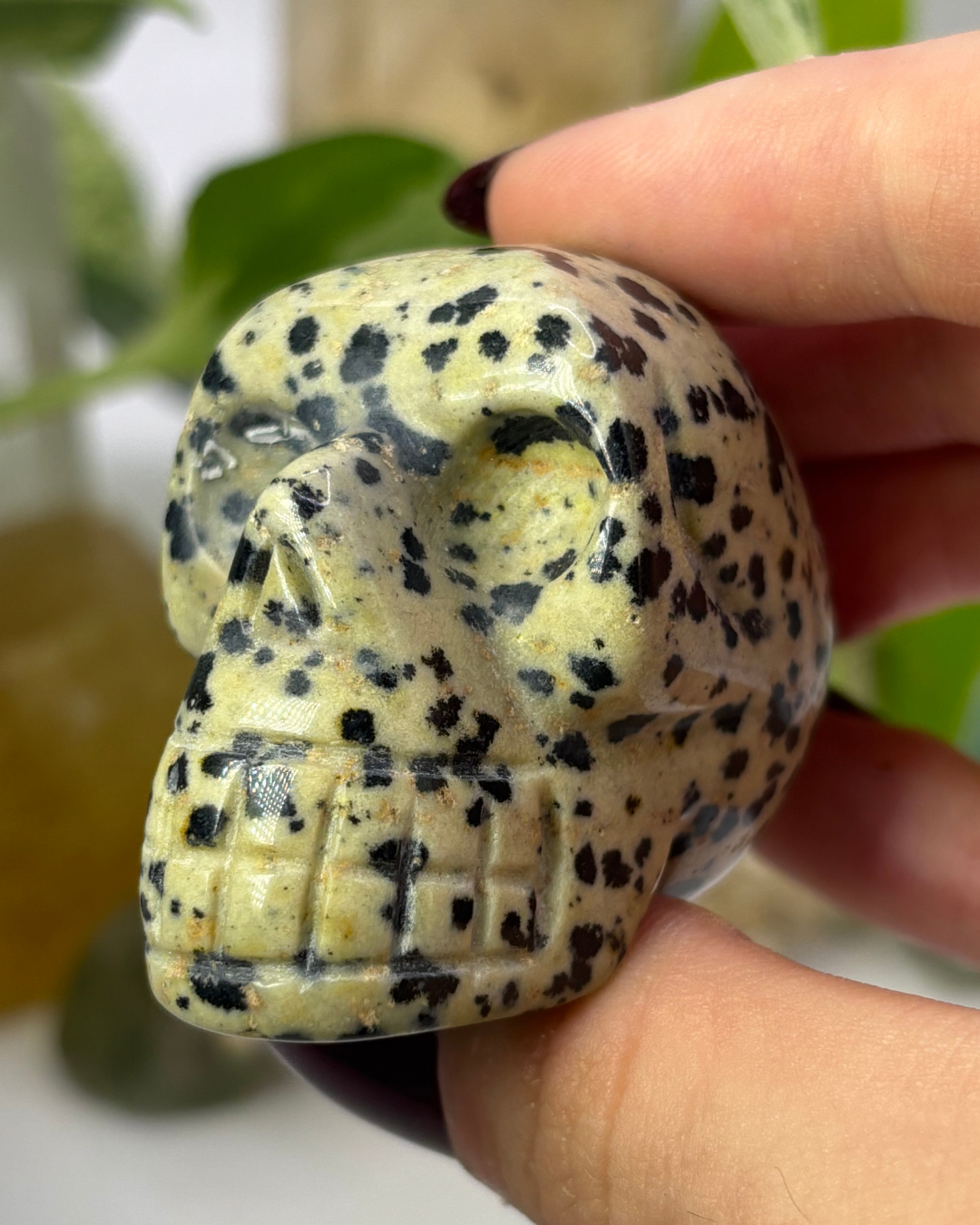 Dalmation Jasper Skull