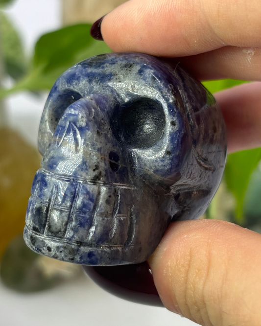 Sodalite Skull