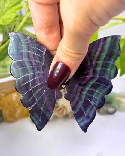 Fluorite Butterfly Wings