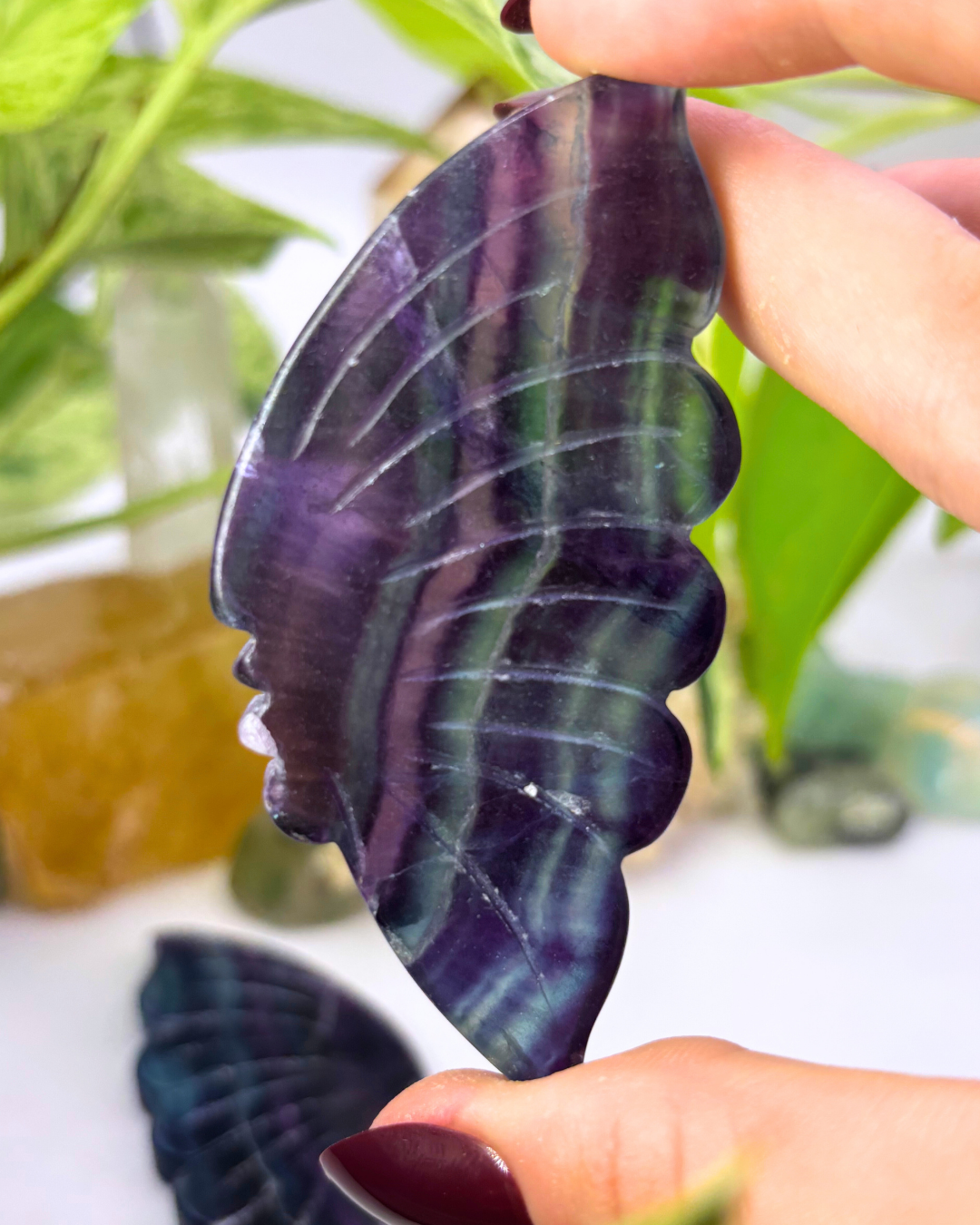Fluorite Butterfly Wings