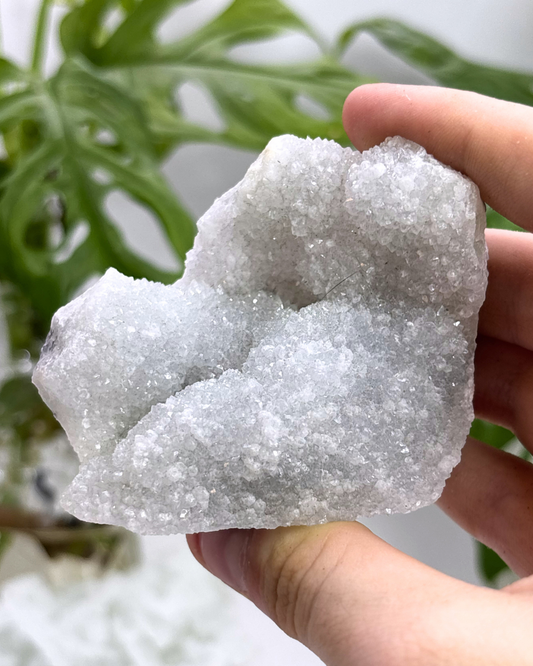 Small Light Blue Apophyllite Cluster Specimen