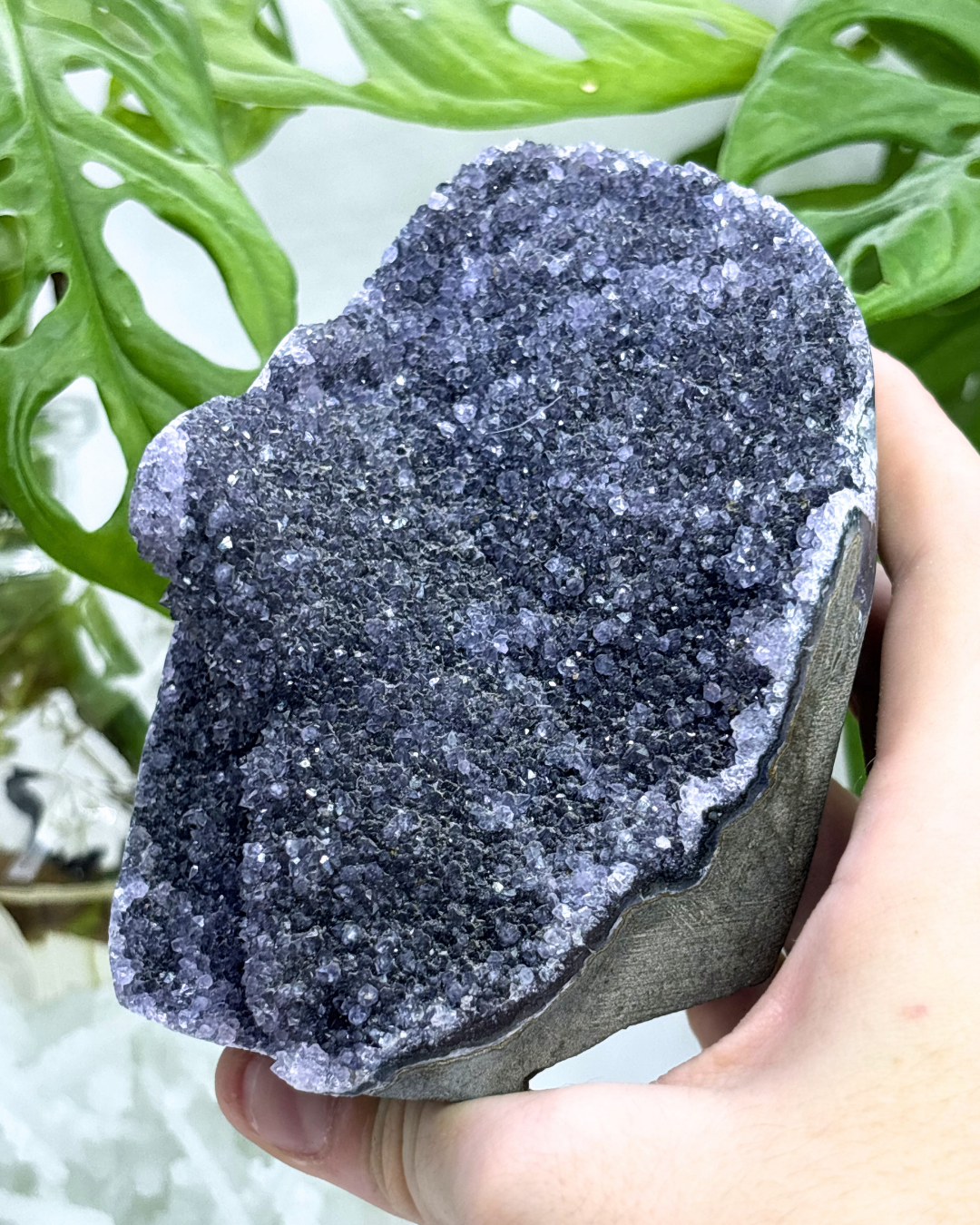 Large Amethyst Cluster 2