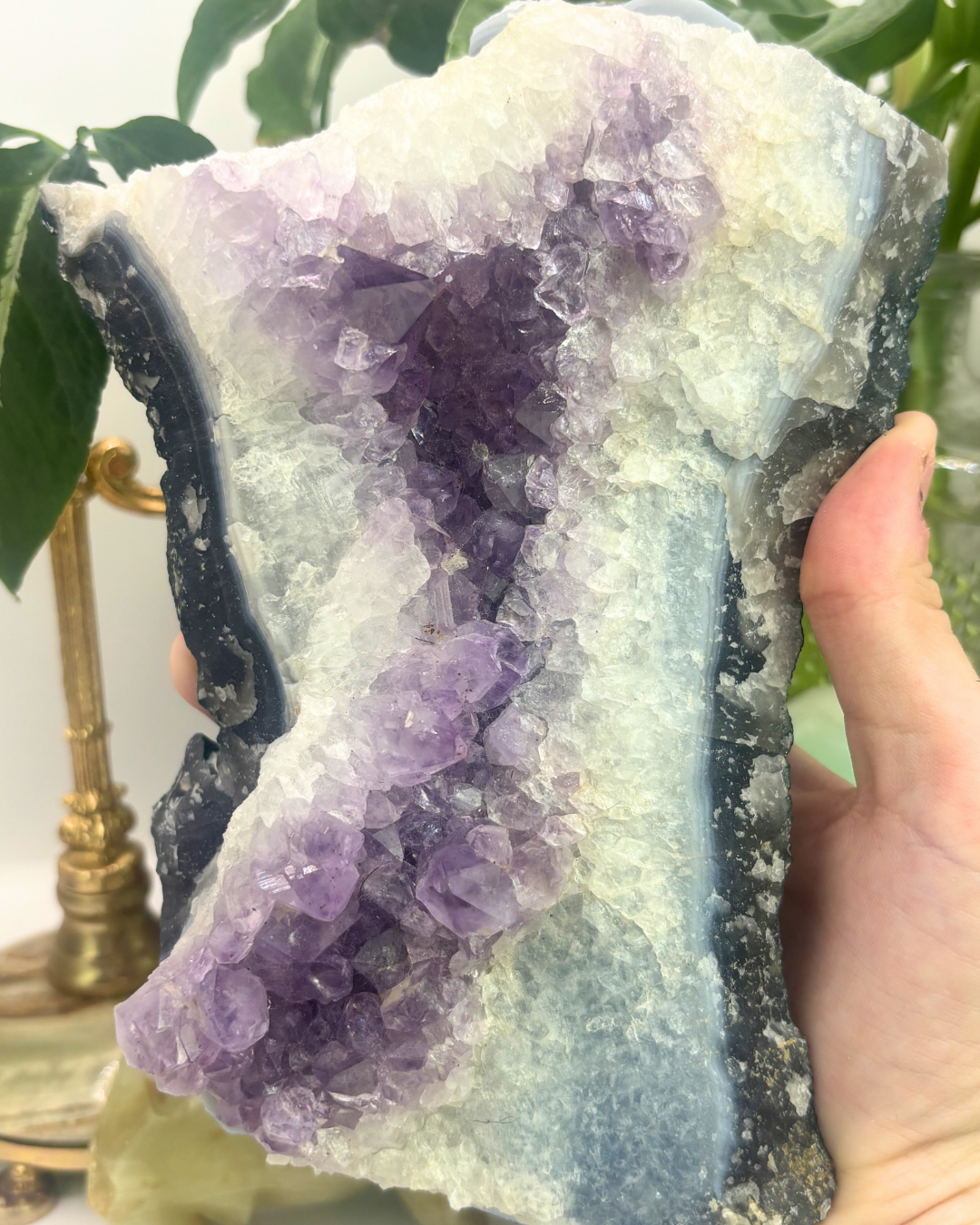 XL Amethyst Cluster