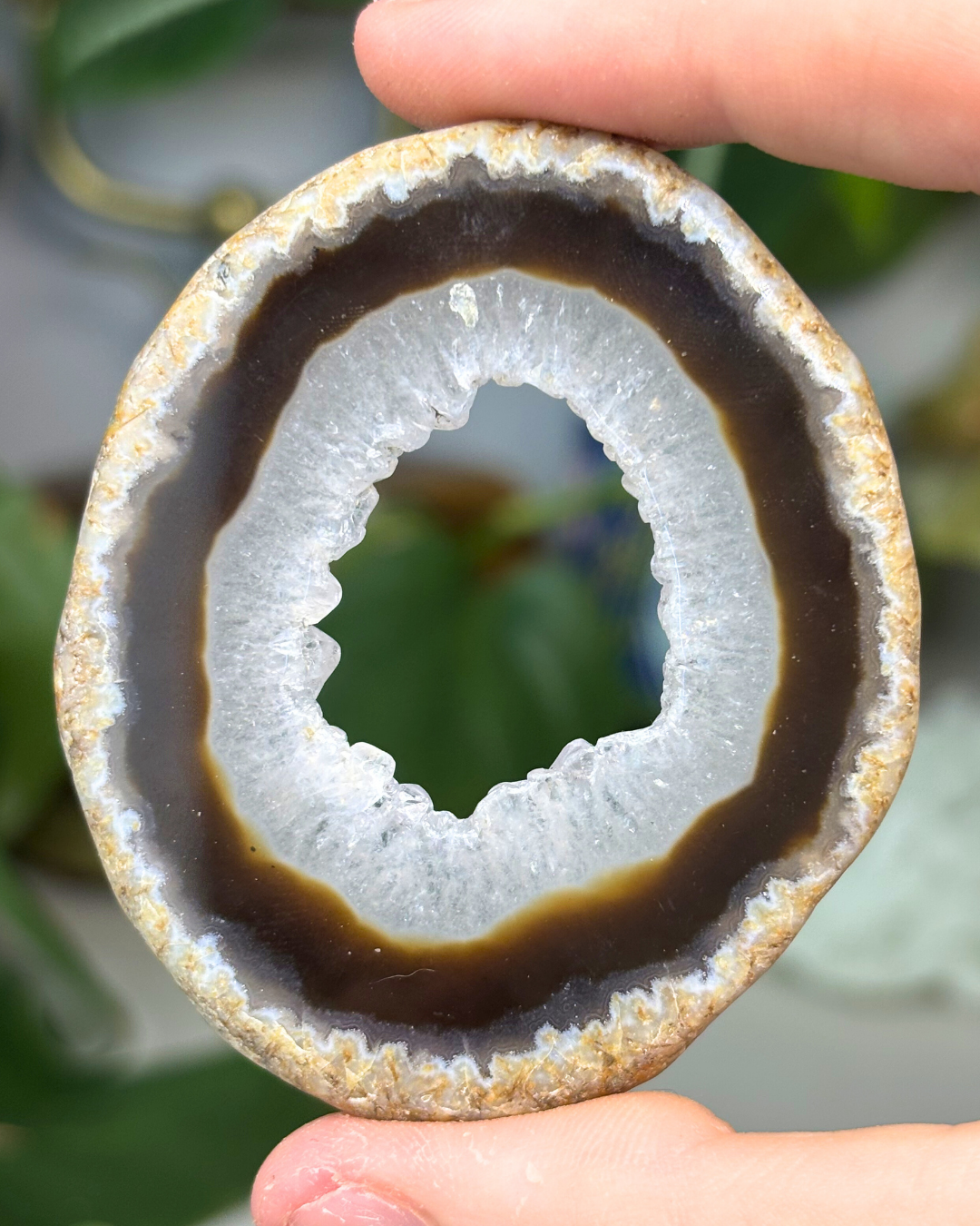 Druzy Black Agate Slice