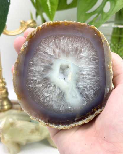 Druzy Agate Geode