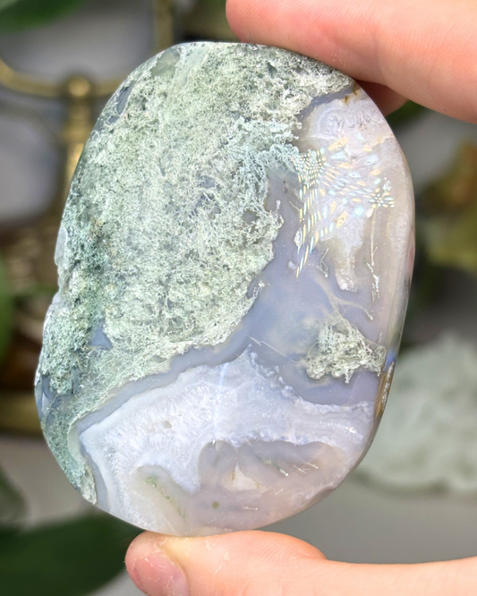 Large Moss Agate Palm Stone