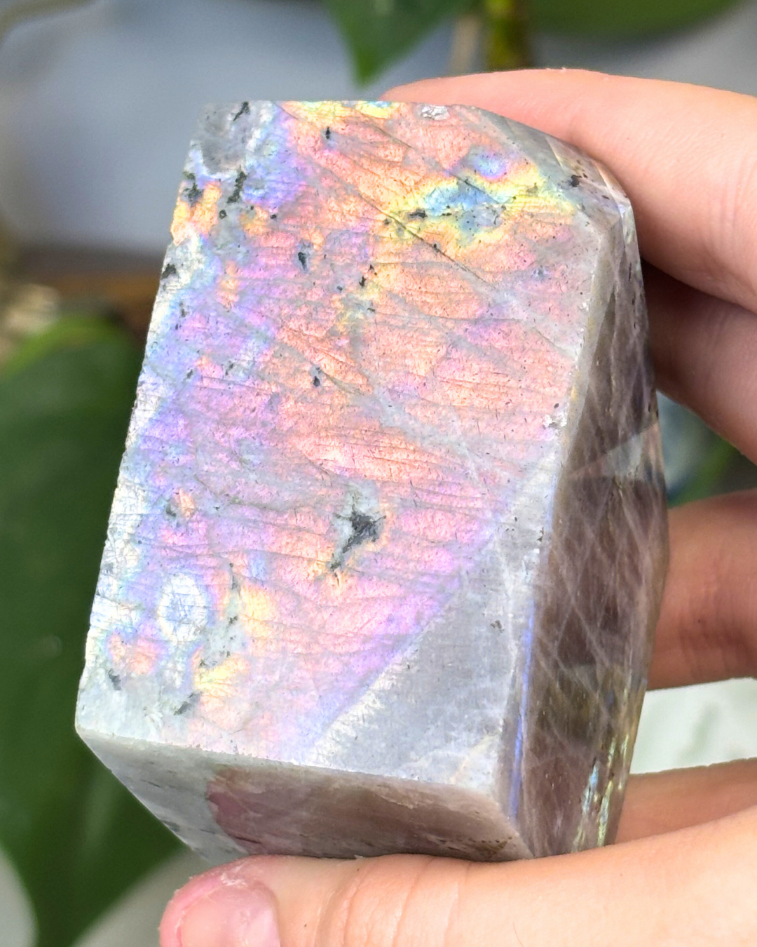Flashy Labradorite