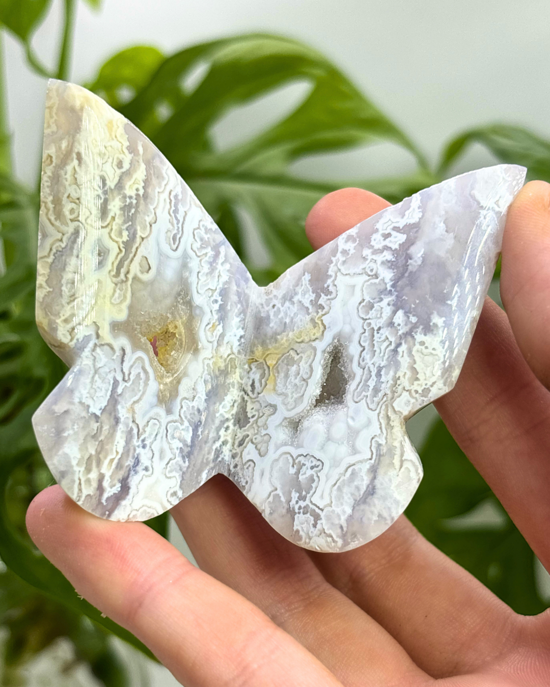 Druzy Plume Agate Butterfly 3