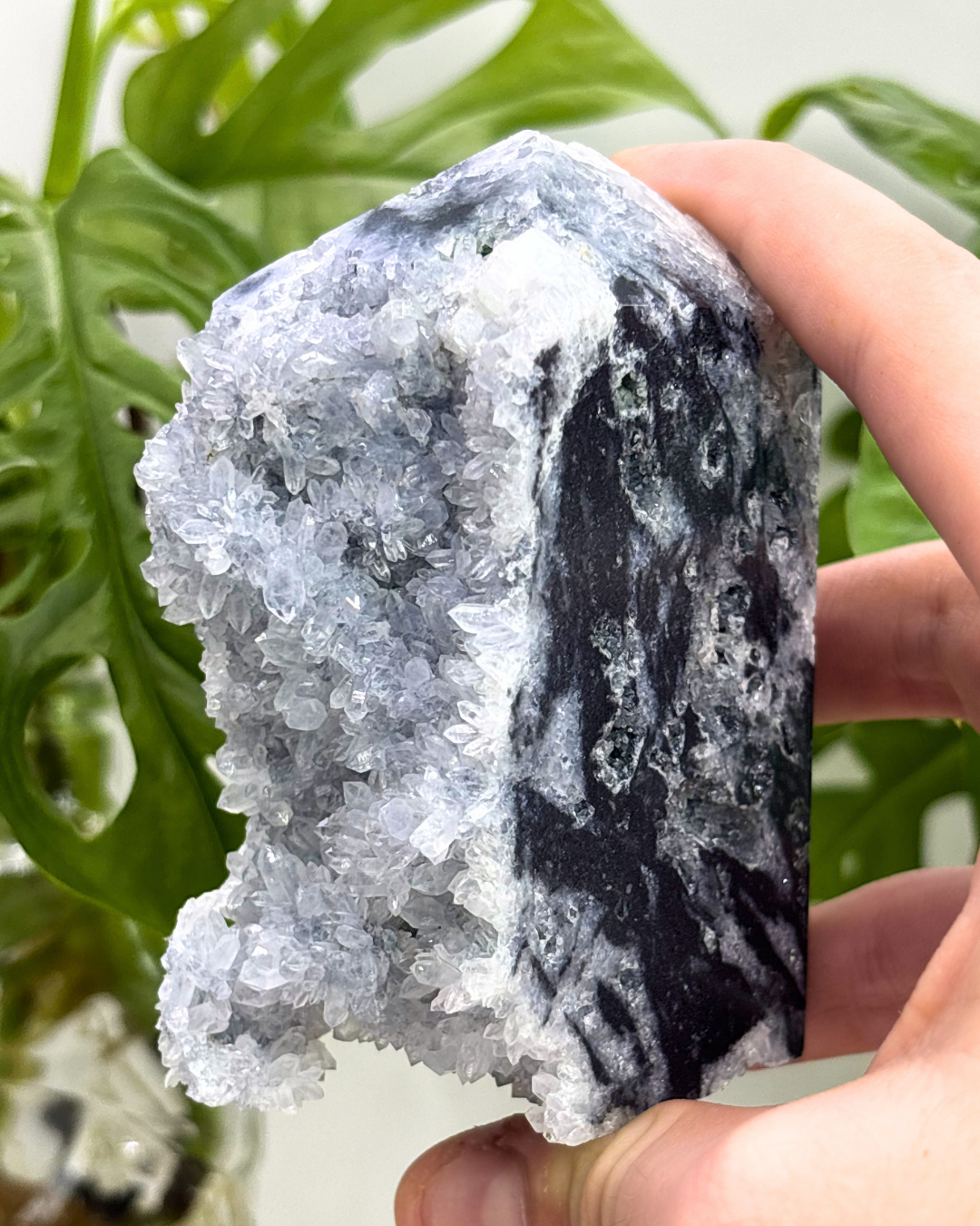 XL Druzy Sphalerite Tower