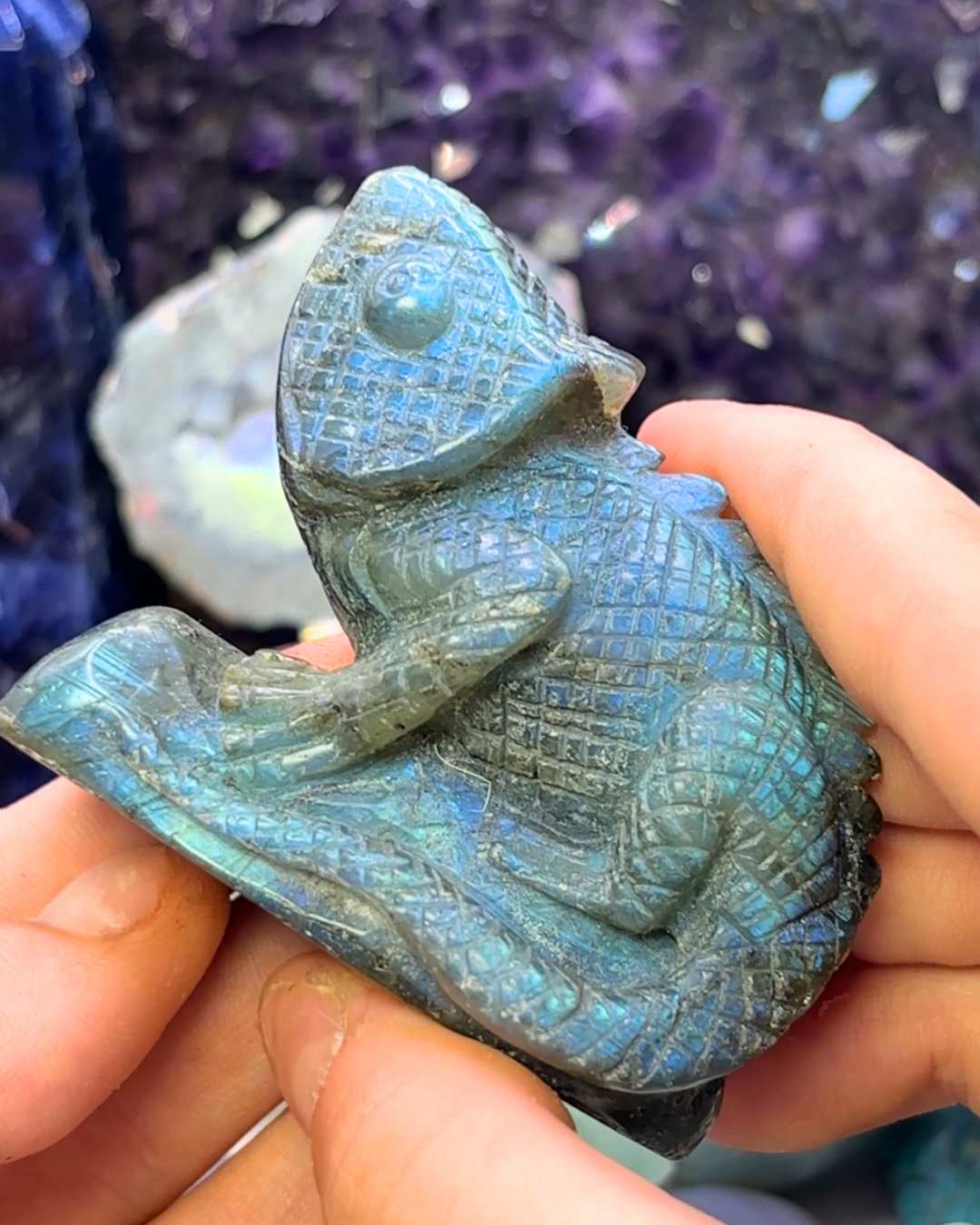 Flashy Labradorite Chameleon