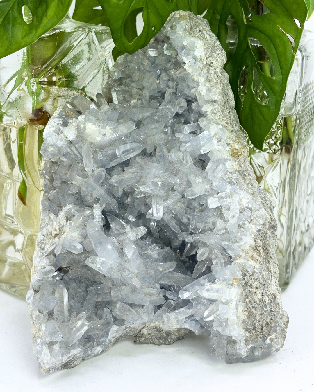 XL Celestite Cluster