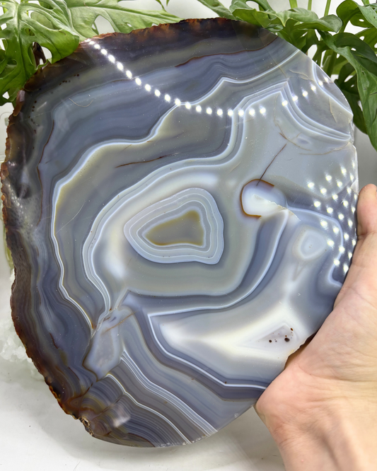 XL Agate Slice