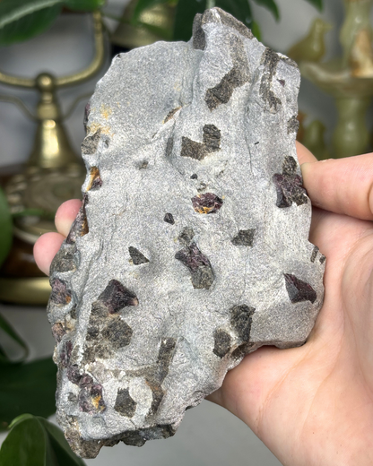 Garnet in Matrix Specimen