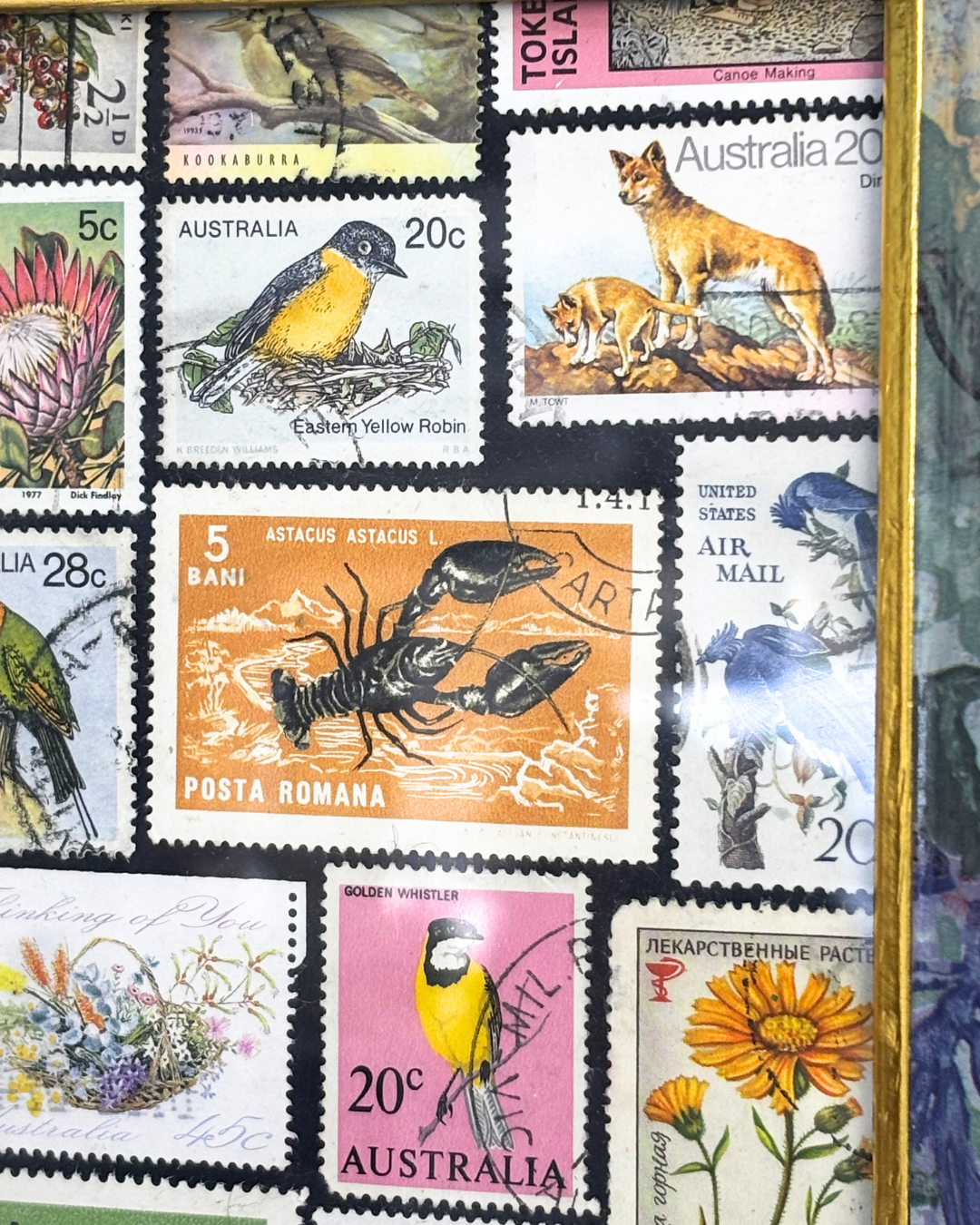Flora & Fauna Vintage Stamp Frame