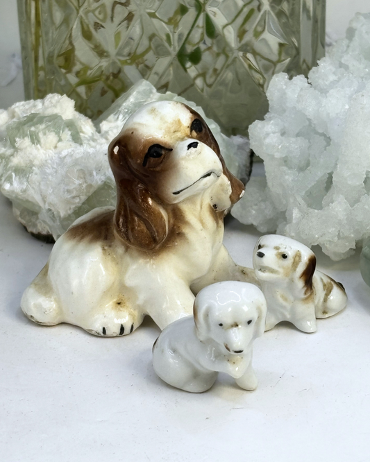 Mini Family of King Charles Spaniels