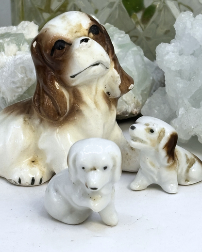 Mini Family of King Charles Spaniels
