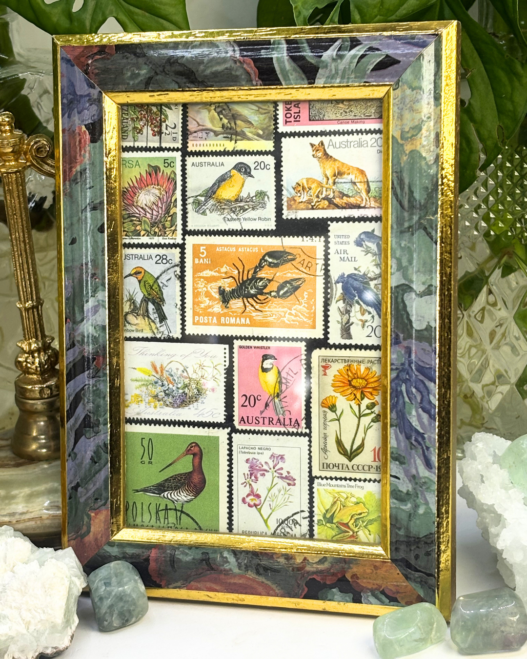 Flora & Fauna Vintage Stamp Frame