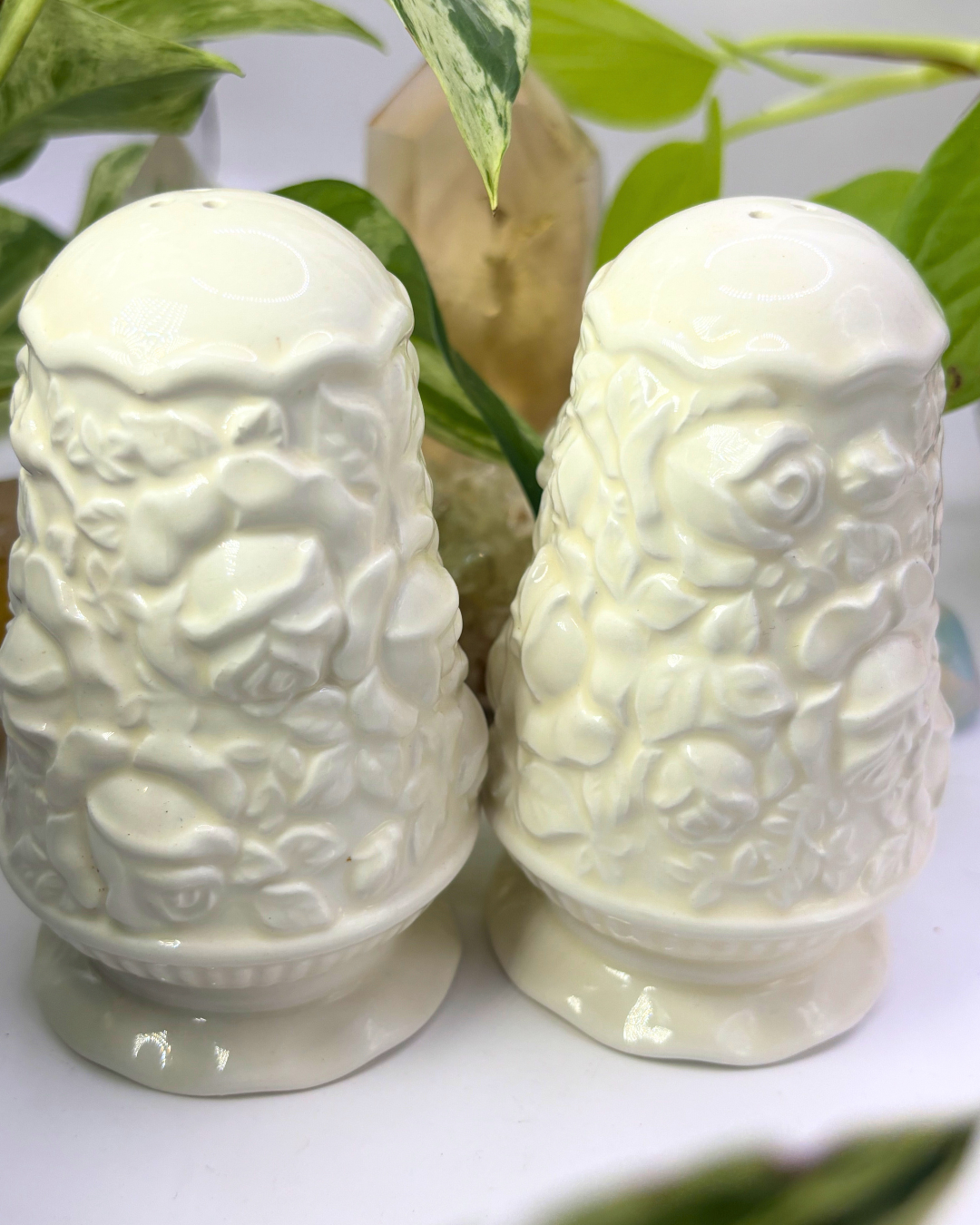 Royal Albert Porcelian Salt & Pepper Shakers