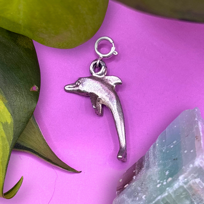 Large Silver Dolphin 3D Charm