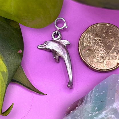 Large Silver Dolphin 3D Charm