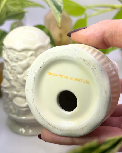 Royal Albert Porcelian Salt & Pepper Shakers