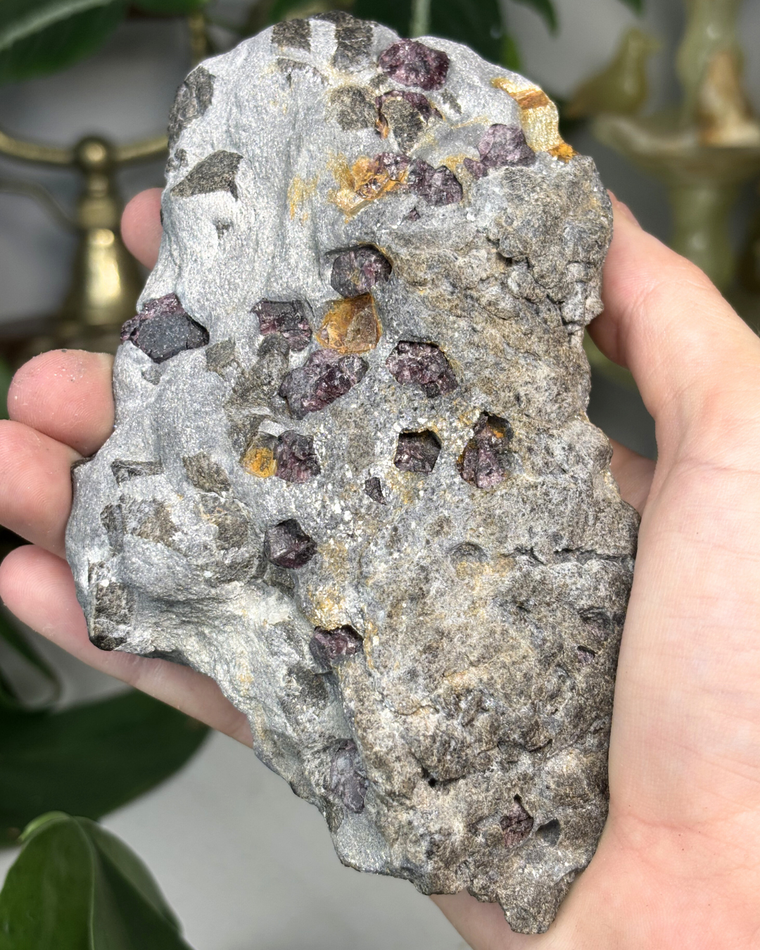 Garnet in Matrix Specimen