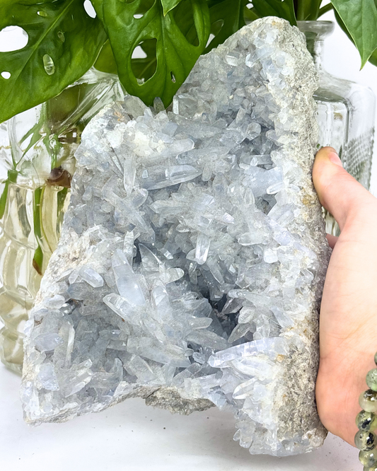 XL Celestite Cluster