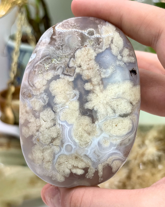 XL Flower Agate Palm Stone
