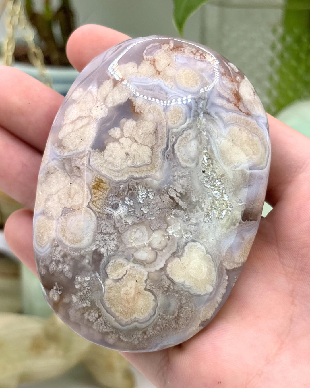 XL Flower Agate Palm Stone