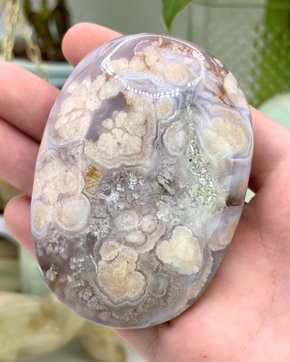XL Flower Agate Palm Stone