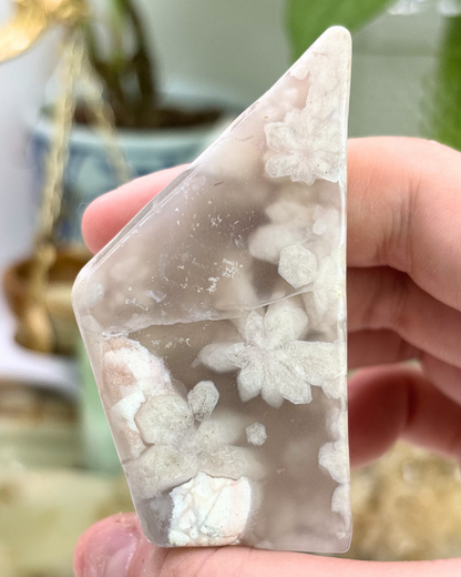 Flower Agate Small Freeform