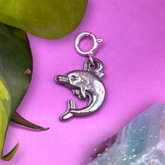 Mini Silver Dolphin 2D Charm